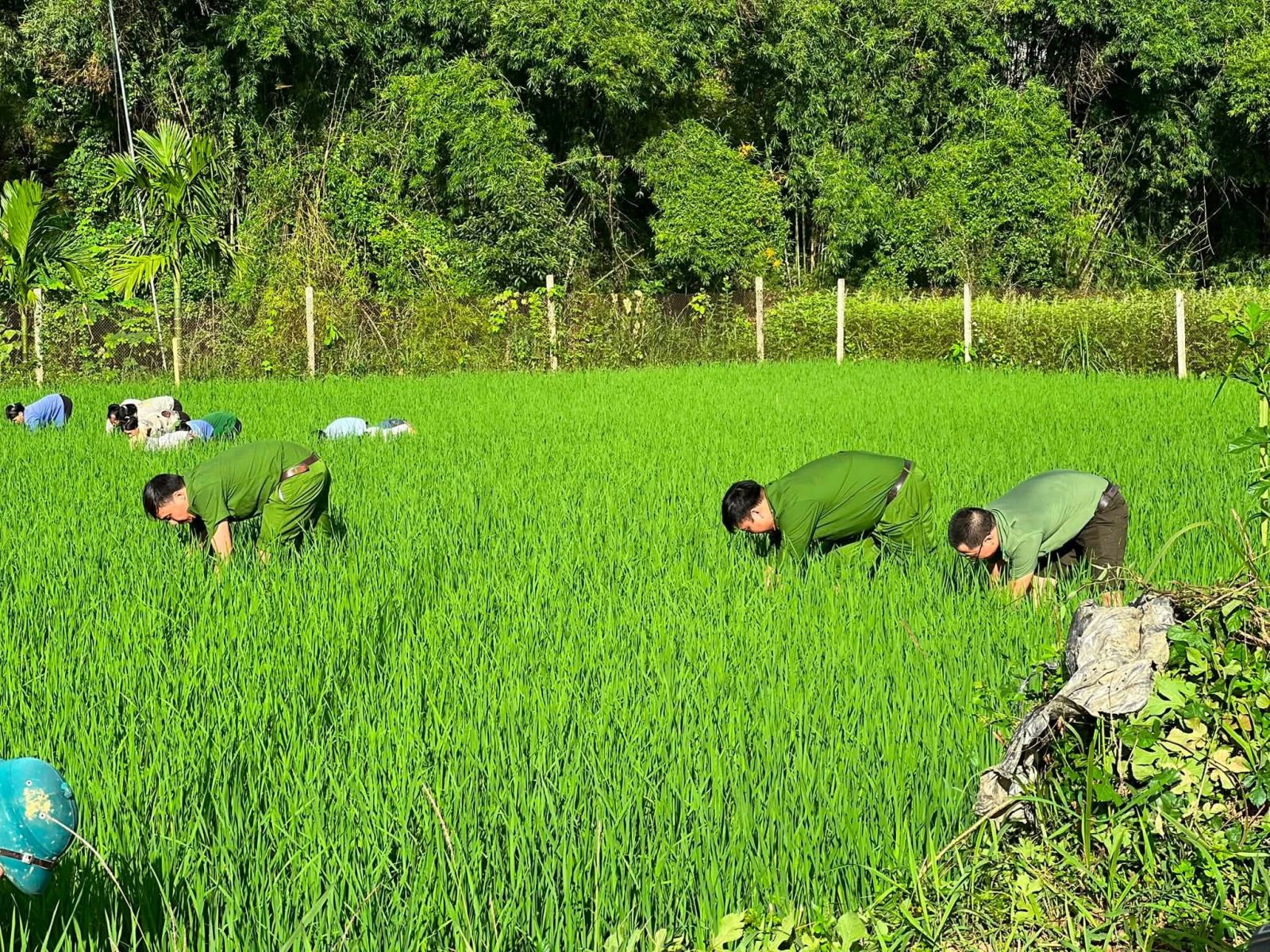 Tin nổi bật